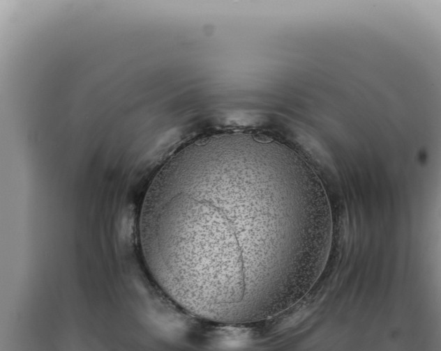 X0000090760328200707271511