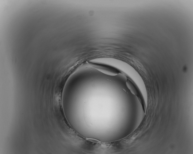 X0000090760329200707271511