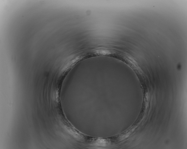 X0000090760330200707271511