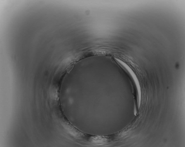 X0000090760331200707271511