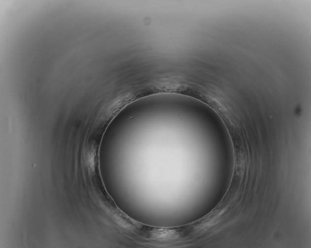 X0000090760334200707271511