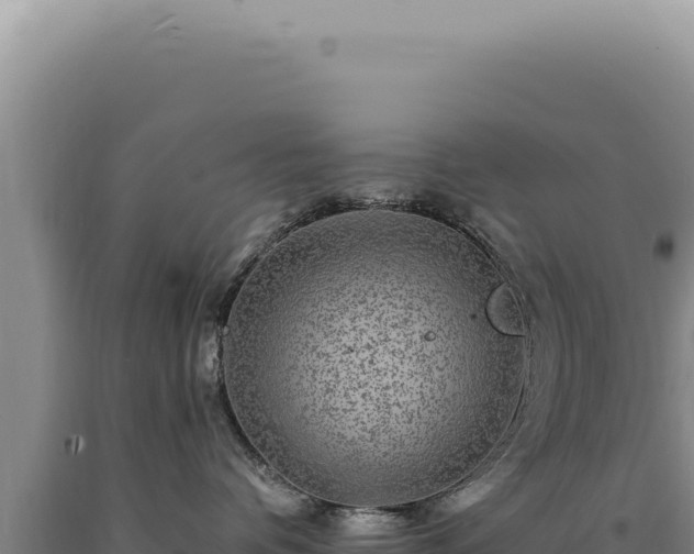 X0000090760336200707271511