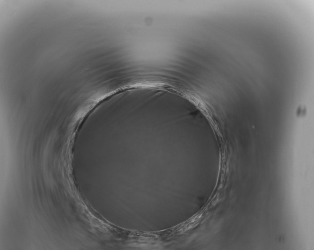 X0000090760337200707271511