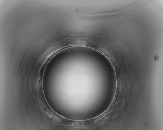 X0000090760338200707271511