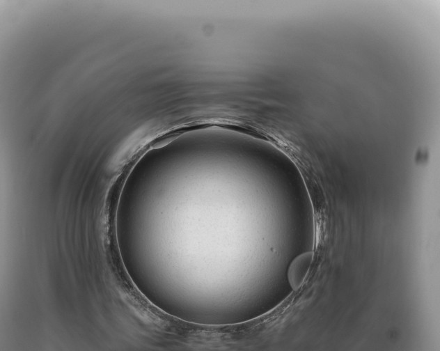 X0000090760339200707271511