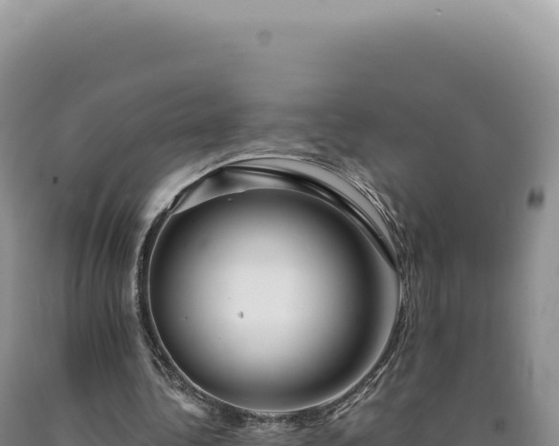 X0000090760340200707271511