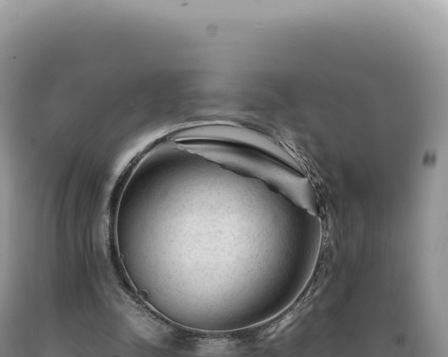 X0000090760342200707271511