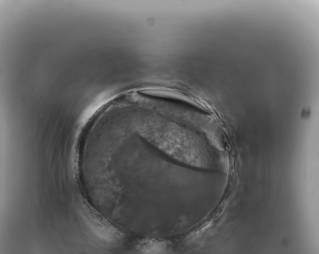 X0000090760343200707271511