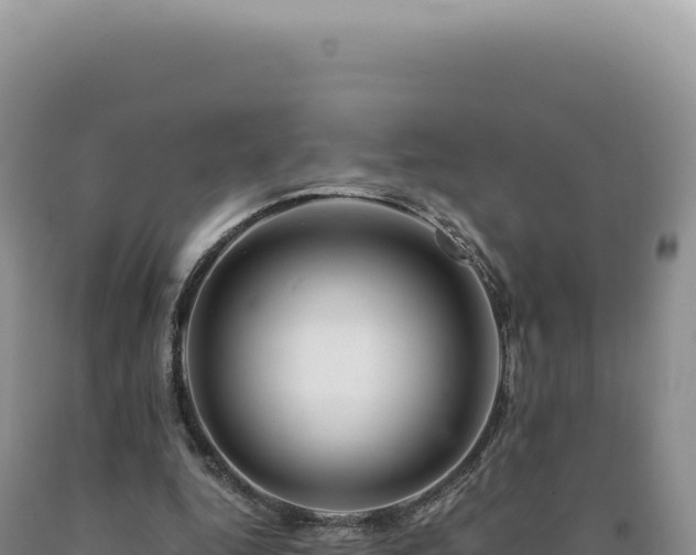 X0000090760344200707271511