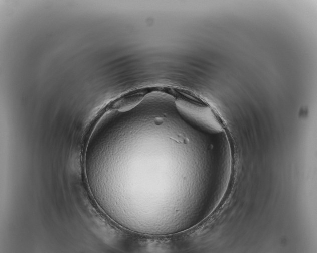 X0000090760345200707271511