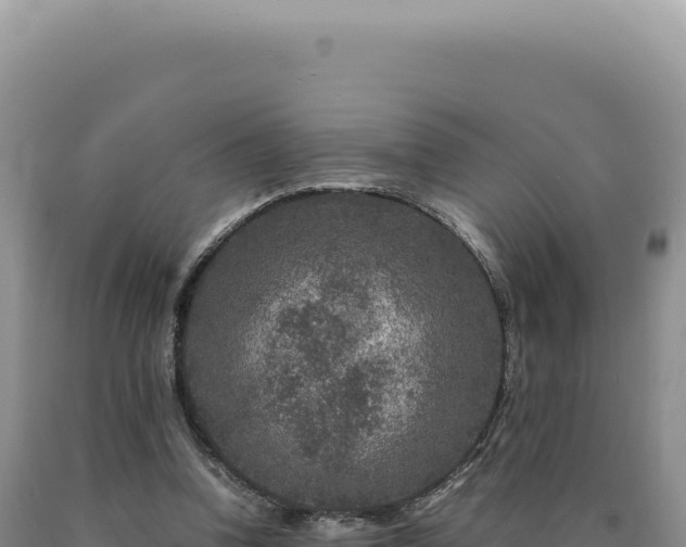 X0000090760346200707271511