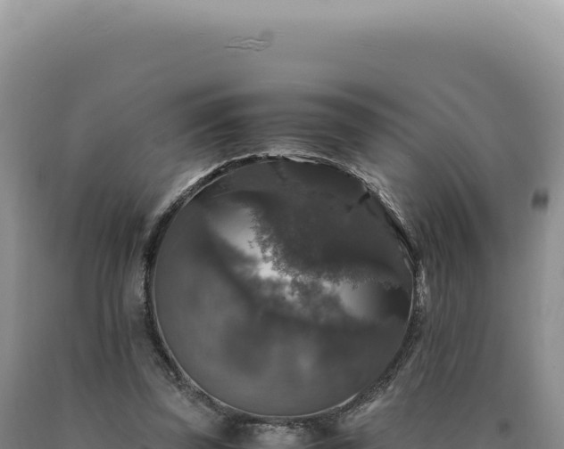 X0000090760347200707271511