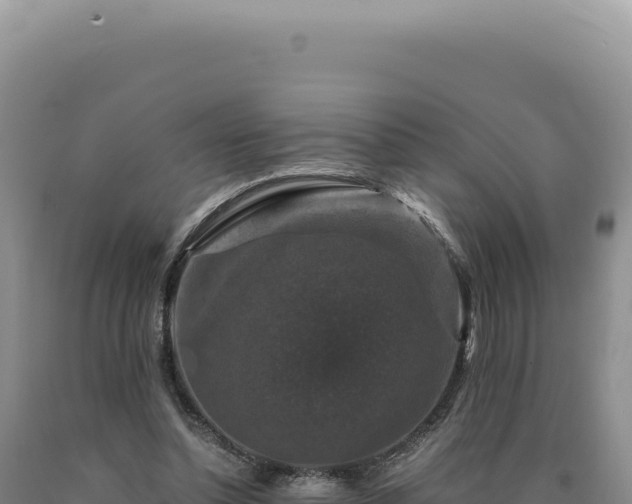 X0000090760348200707271511