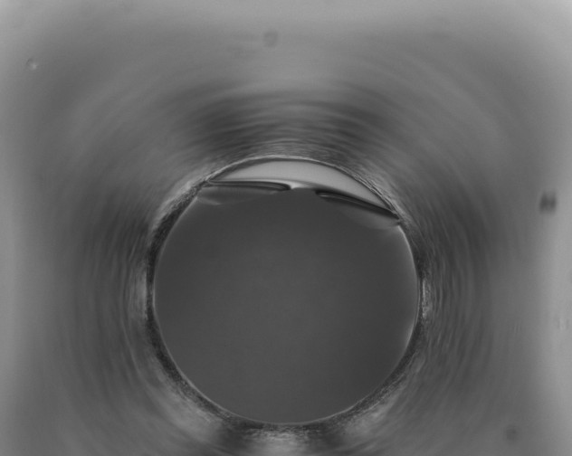 X0000090760349200707271511