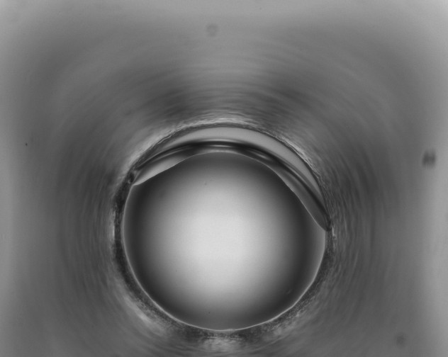 X0000090760350200707271511