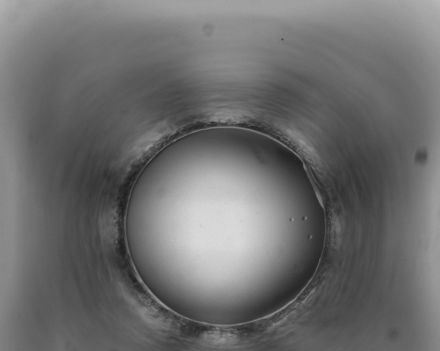 X0000090760354200707271511