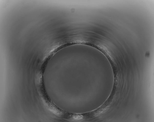 X0000090760355200707271511