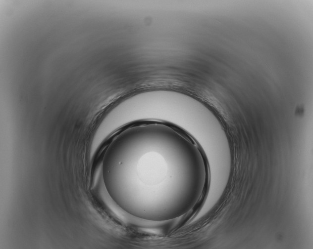 X0000090760356200707271511