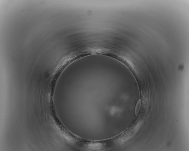 X0000090760357200707271511