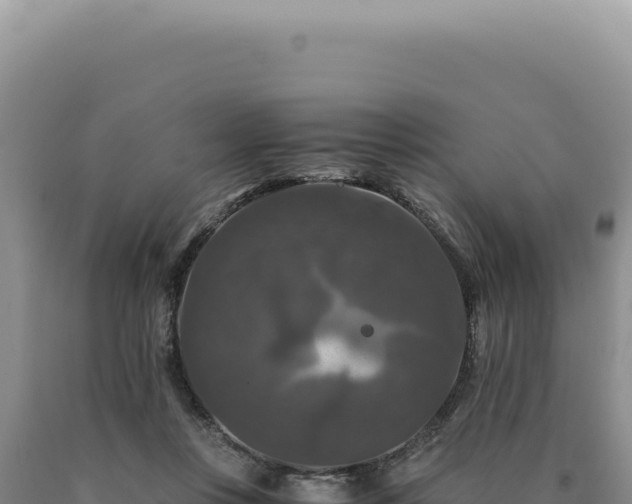 X0000090760359200707271511