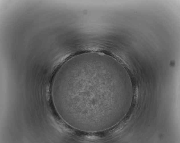 X0000090760360200707271511