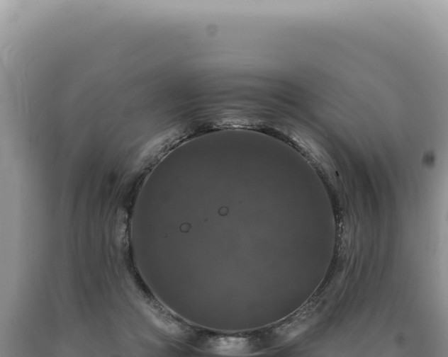 X0000090760361200707271511