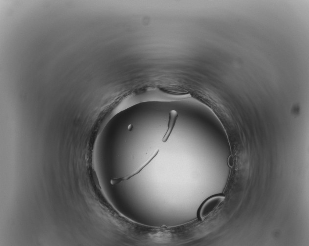 X0000090760362200707271511