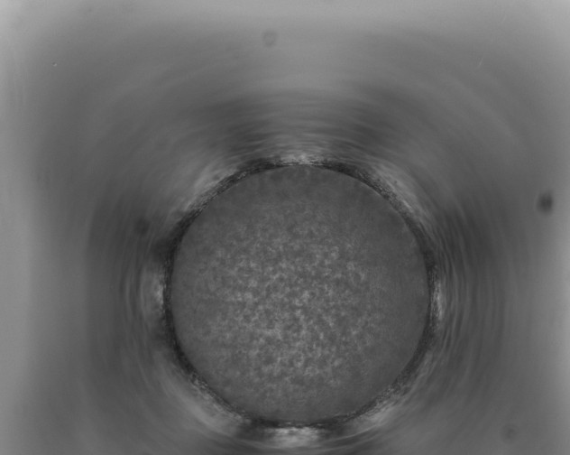 X0000090760363200707271511