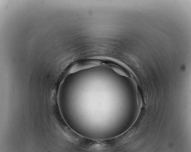 X0000090760364200707271511