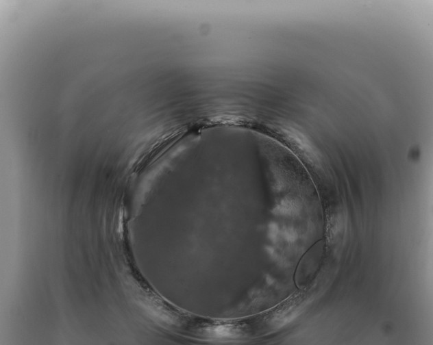 X0000090760365200707271511