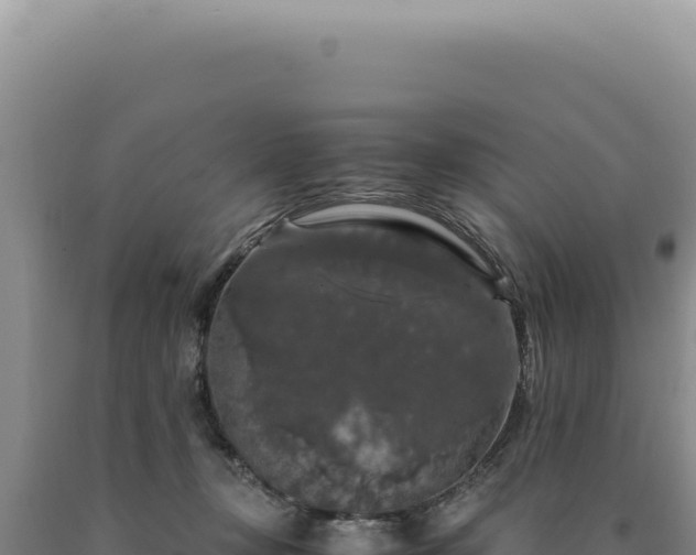 X0000090760367200707271511