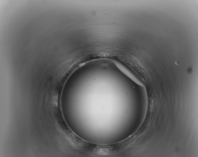 X0000090760368200707271511