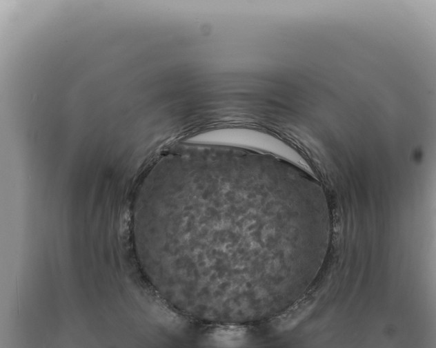 X0000090760369200707271511