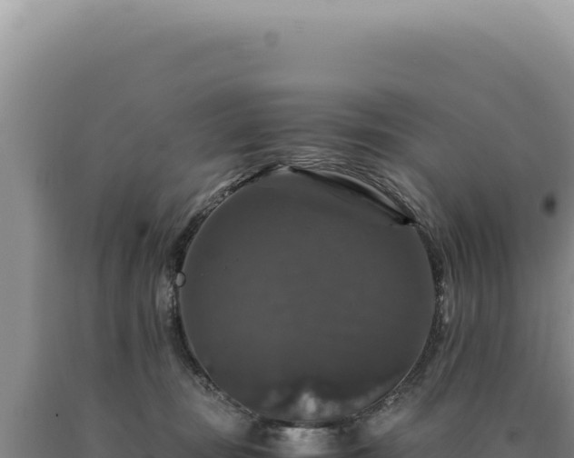 X0000090760371200707271511