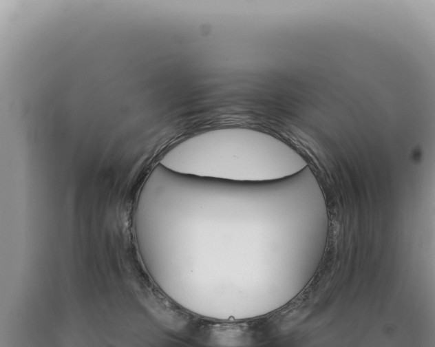 X0000090760373200707271511