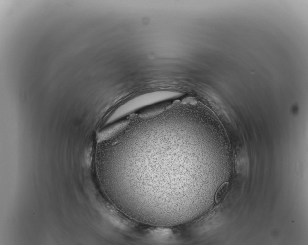 X0000090760374200707271511