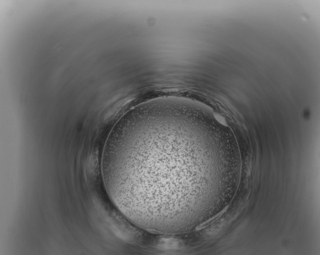 X0000090760376200707271511