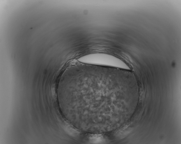 X0000090760377200707271511