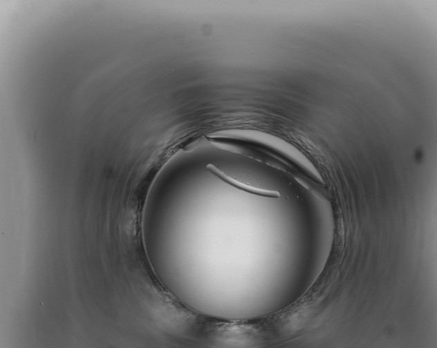 X0000090760379200707271511