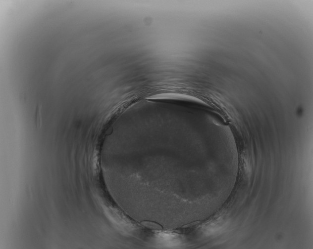 X0000090760380200707271511