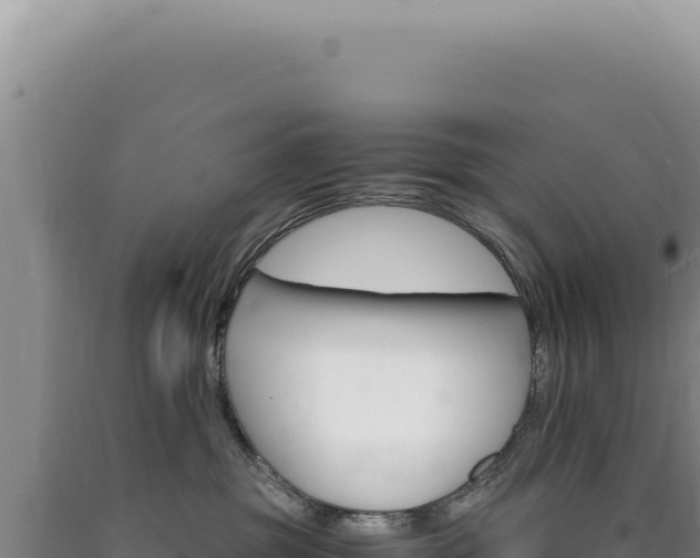 X0000090760381200707271511