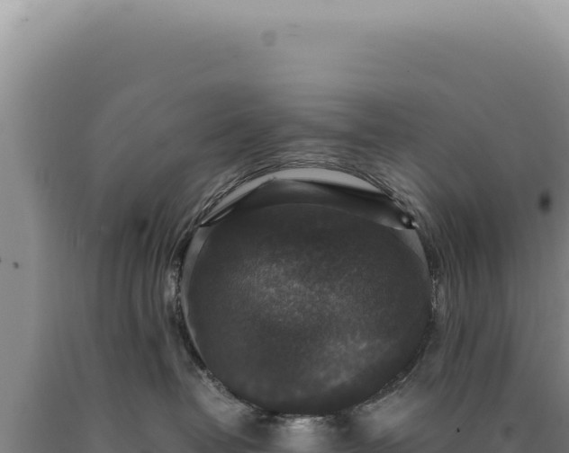 X0000090760382200707271511