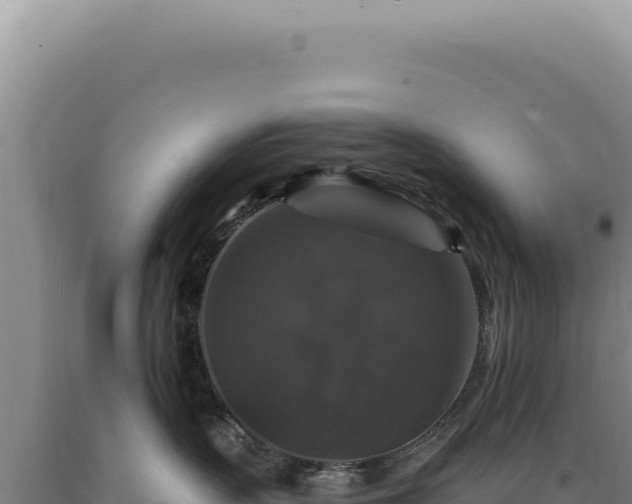 X0000090760383200707271511