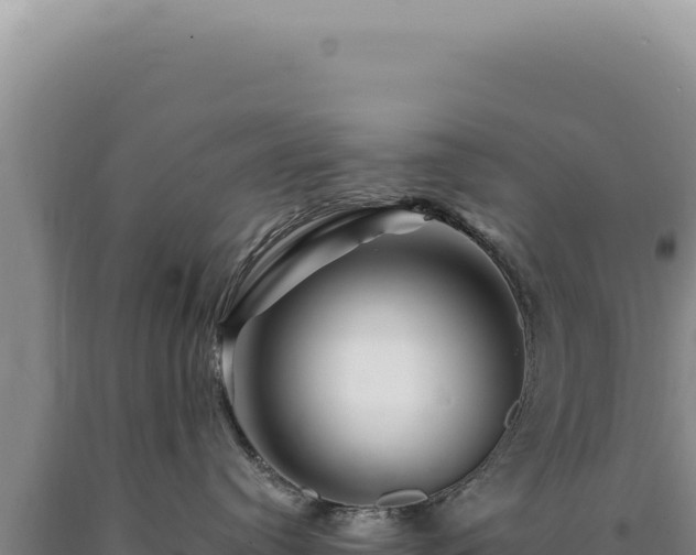 X0000090760384200707271511