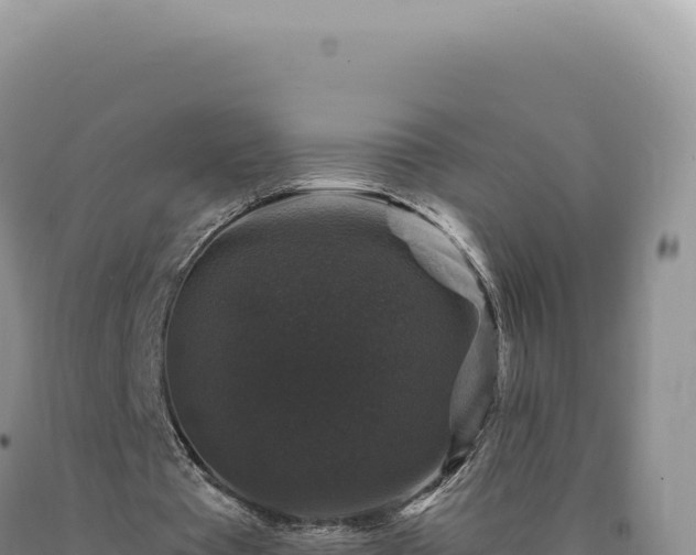 X0000090760385200707271511