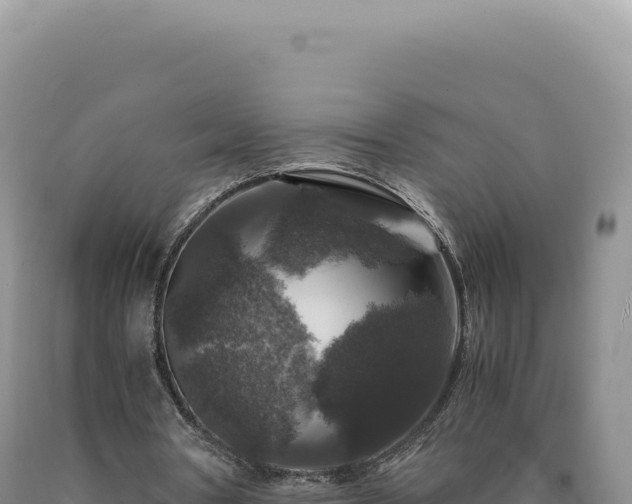 X0000090760386200707271510