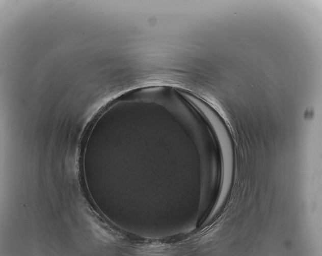 X0000090760387200707271510