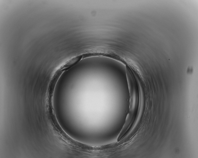 X0000090760388200707271510