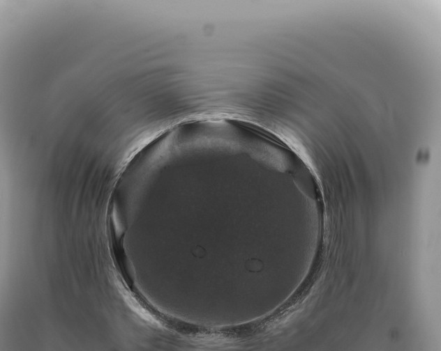 X0000090760389200707271510