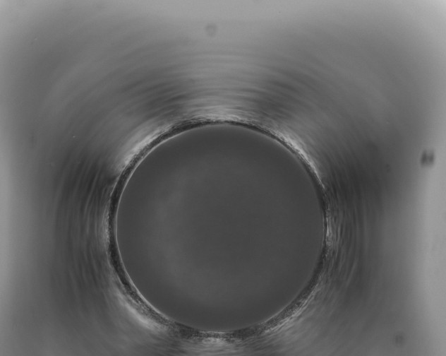 X0000090760390200707271510